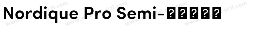 Nordique Pro Semi字体转换